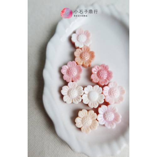 女王粉貝-波斯菊16mm (1入)